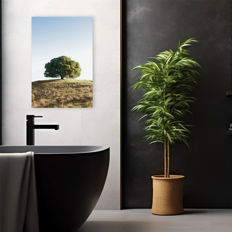 Chêne # 77 - Art photographique, H 24 po x l 16 po