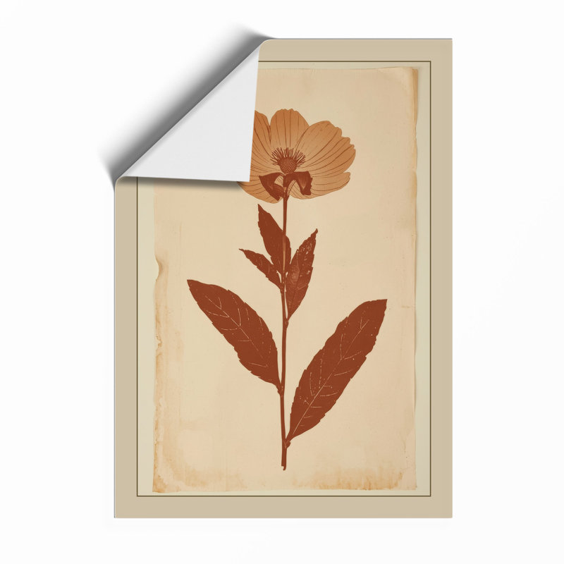 Herbarium Specimen Botanical - Print, Unframed, A4 - 29.7 x 21.0 cm