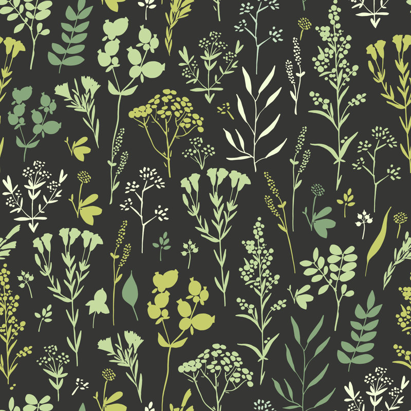 Rouleau de papier peint Quinnesec Herbs, L 16,67 po x l 25 po