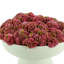 Arrangement floral succulent dans un vase-953263236