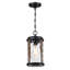 Luminaire suspendu d'extérieur 1 lumière H 14 po avec accents noir mat et bois de grange