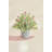 Delicate Fruit In Pot-750916419