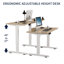 Bureau debout électrique de 48 pouces de largeur et 24 profondeurs, de couleur chêne, réglable en hauteur pour jouer, équipé de 4 boutons de mémoire à domicile, programmable
