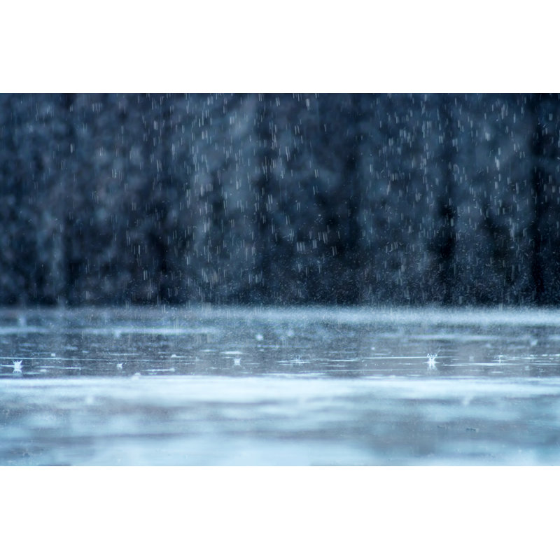 " Rain Fall ", 12" H x 18" W  