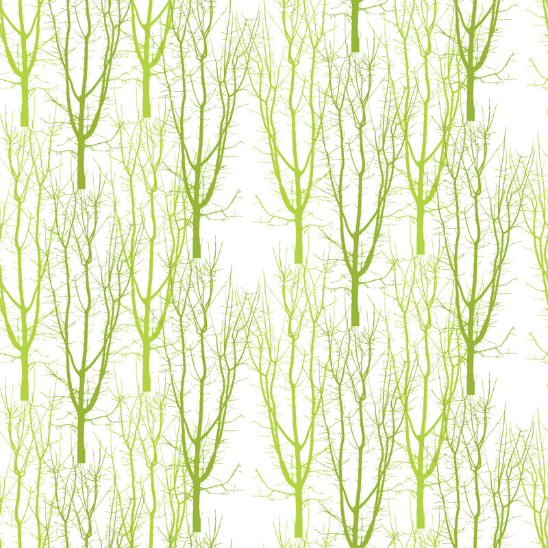 Agrume 4 forêt quelle, H 12 po x l 12 po, Non, Toile tendue