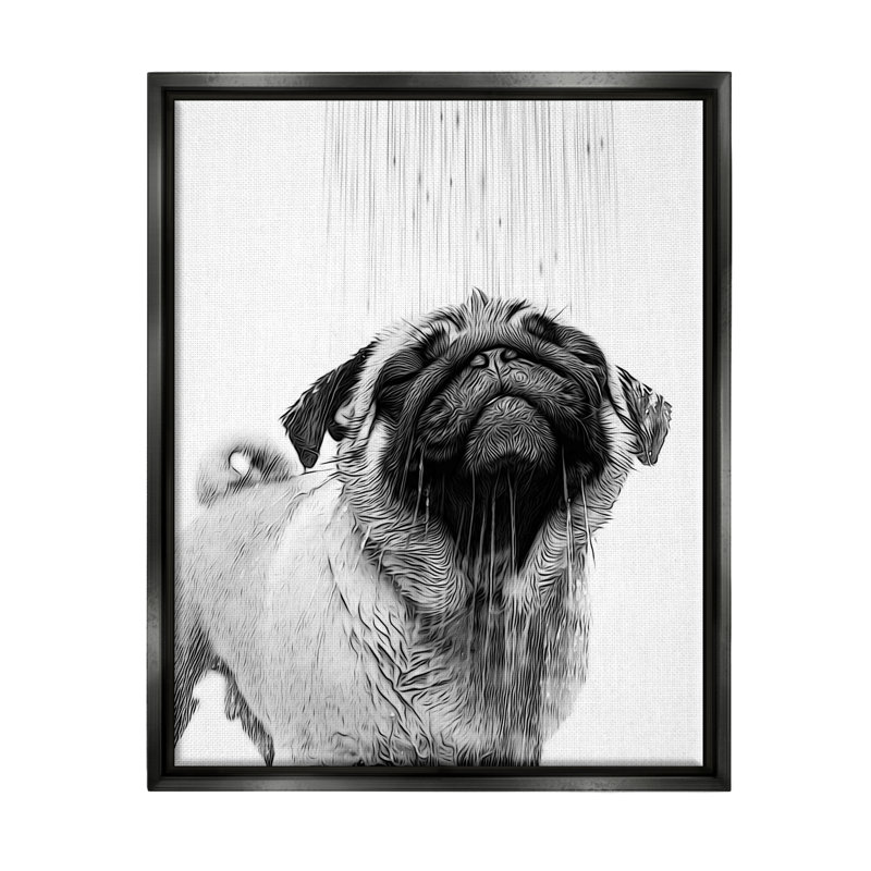 «Pug Bathroom Splash» par Annalisa Latella, H 21 po x l 17 po x P 1,7 po, Cadre flottant noir de jais