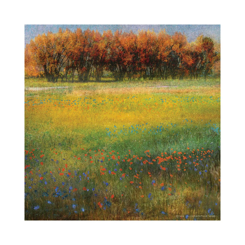 Meadow Flowers II by Christopher Vest - Wrapped Canvas Gallery-Wrapped Canvas Giclée, 30.48 cm H x 30.48 cm W