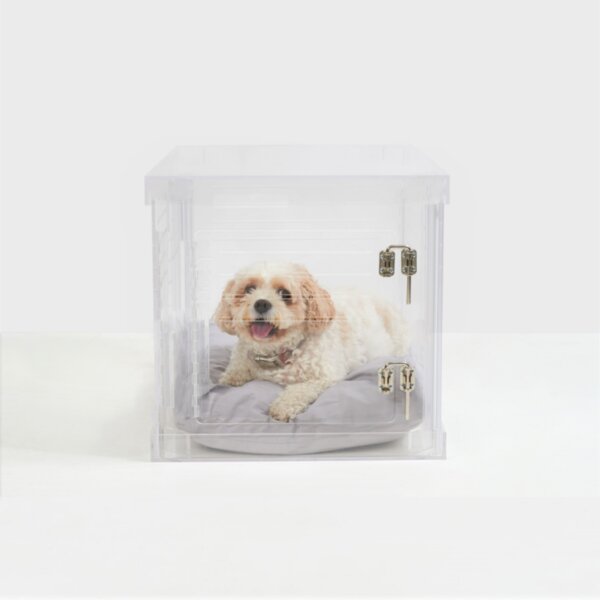 https://assets.wfcdn.com/im/20269246/resize-h600-w600%5Ecompr-r85/1901/190179444/Clear+Acrylic+Dog+Crate-to-Gate.jpg