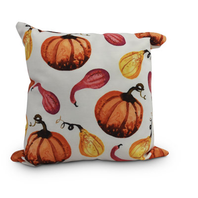 Housse et insert de coussin carré Harvest Gourds Galore