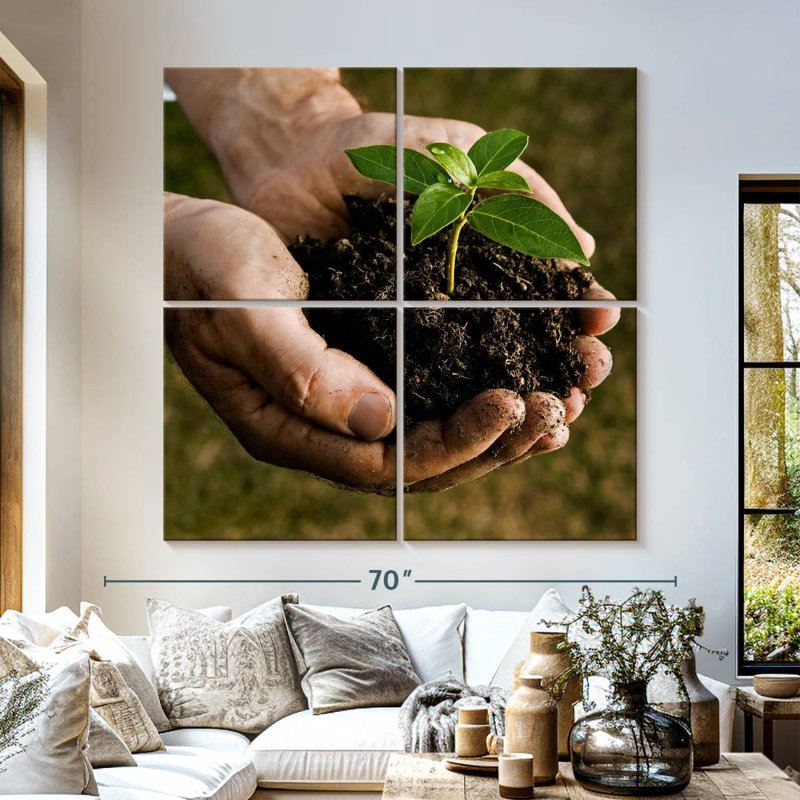 Senne New Seedling Sprouting, 57" H x 57" W