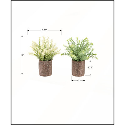 Ensemble de 2 brins d'herbe de mûrier artificielle, 30 cm de hauteur, en pots de ciment brun pour une décoration moderne et contemporaine