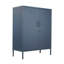 Tamanna Steel 2 - Door Rectangle Accent Cabinet-2078652101