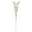 65cm Gypsophilia Spray