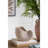8.5X5.5X6.3 Inches Sand Cement Shell Planter, Textured Beige Finish, Enhances Aesthetic Of Your Rooms And Brings A Rustic Atmosphere To Barns-436327240