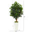 Faux Ficus Tree in Clay Planter-572805259-572805254