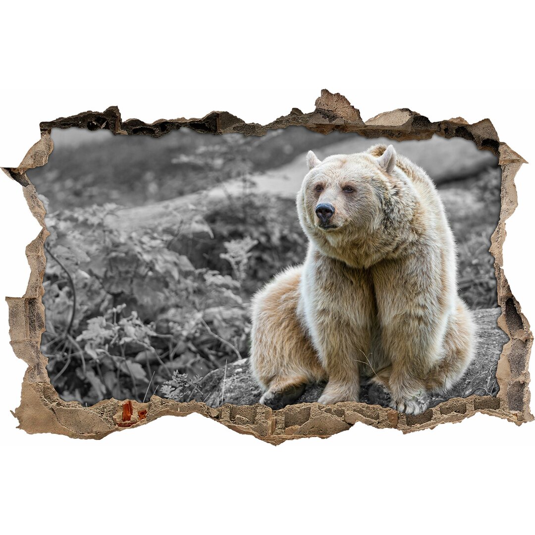 Grizzly auf einem Stein sitzend Wandaufkleber