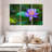 Flower-249164642