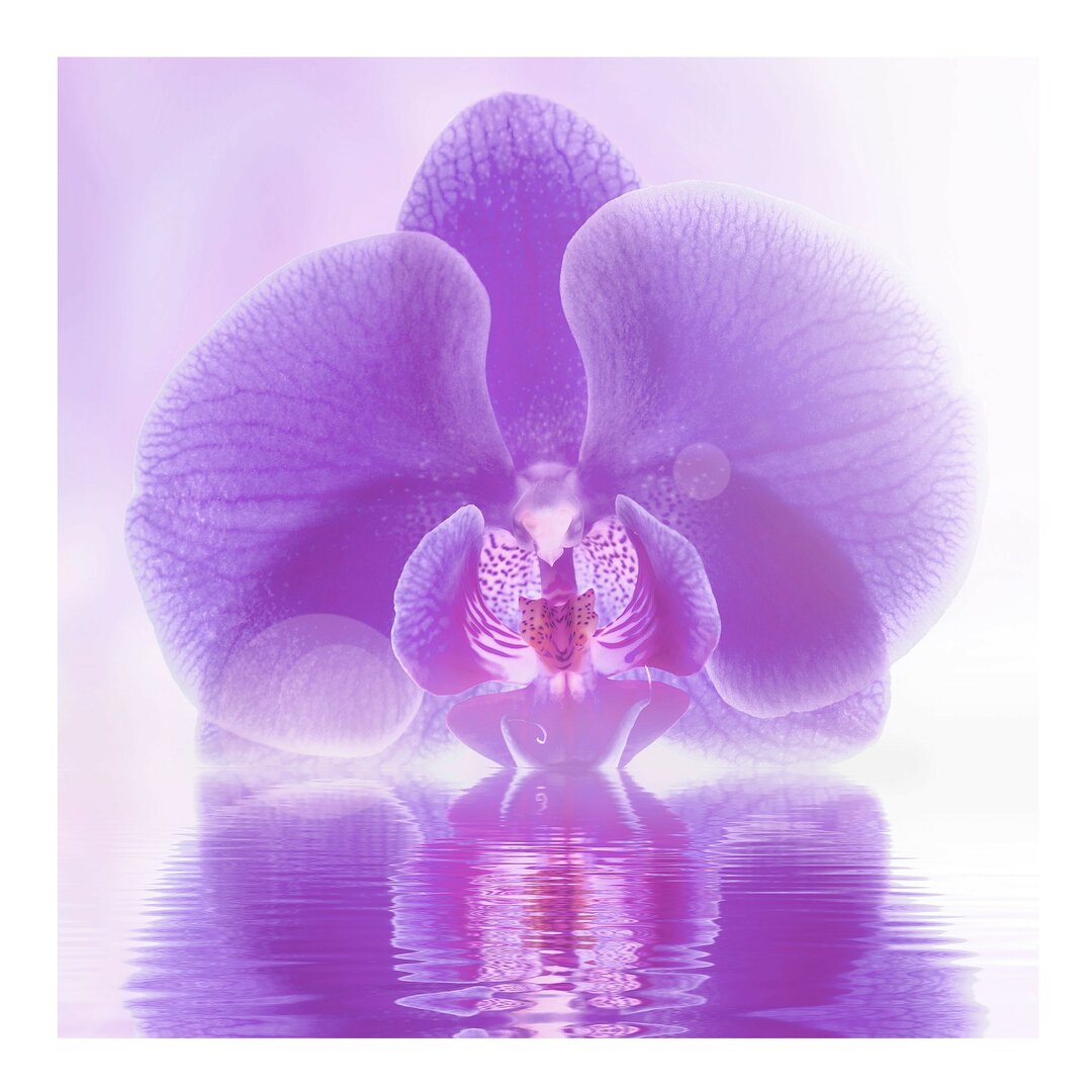 Strukturierte Tapete Purple Orchid on Water