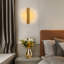 Catalinas Acrylic LED Flush Mounted Sconce