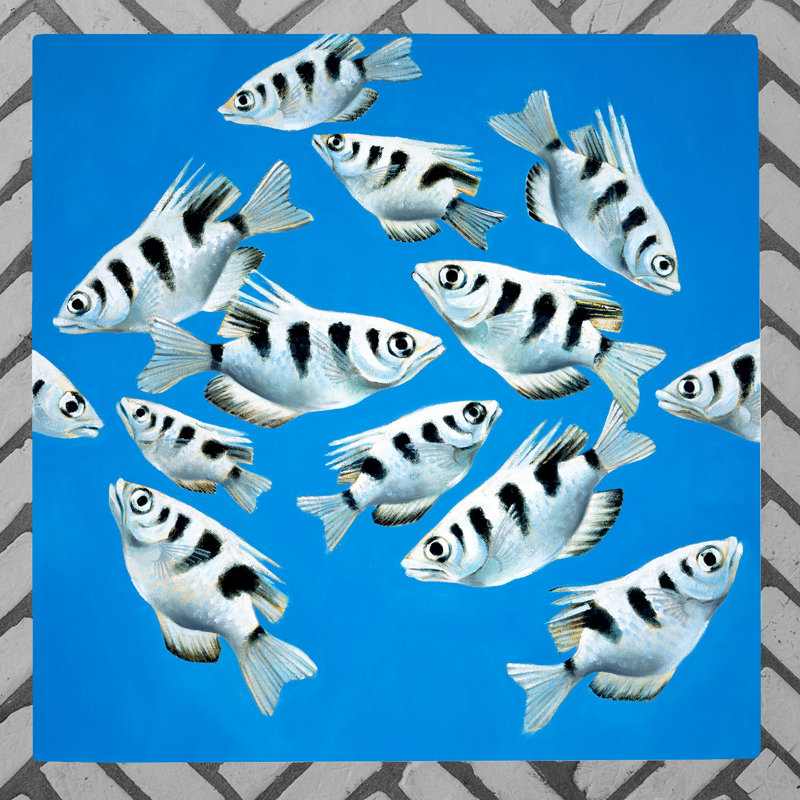 C.WILKINSON Coastal Wall Decor on Ceramic
