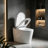 intelligent toilet