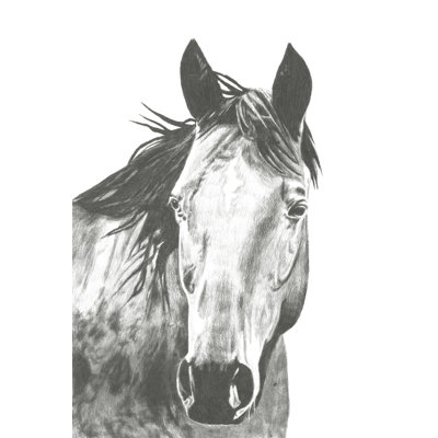 Wildlife Snapshot: Horse I by Naomi McCavitt - 1 Piece Wall Art on Canvas