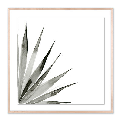 Agave II Print by Jess Engle