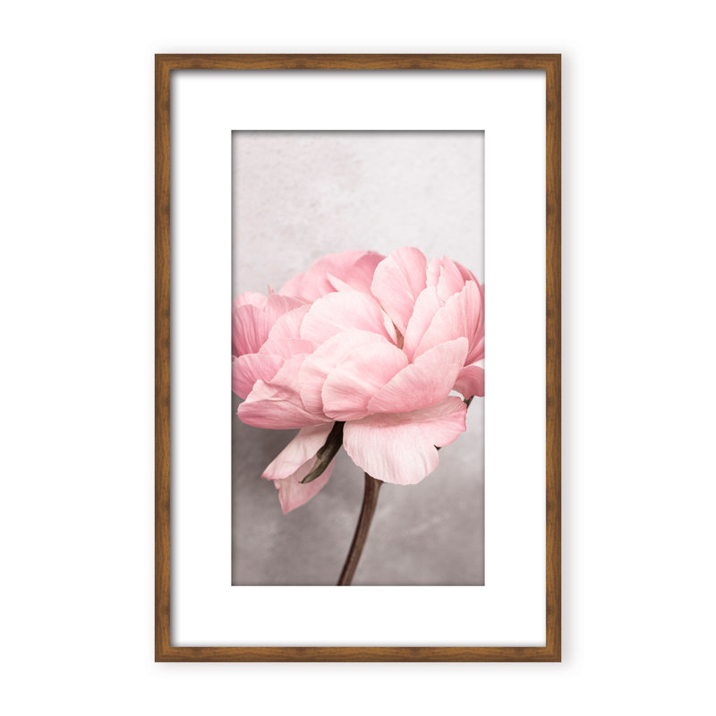 Nature Inspired Peony by  - Picture Frame Photograph on Paper, 24" H x 16" W x 1.125" D, Black, Framed Matted Print