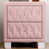 Pink is out of stock