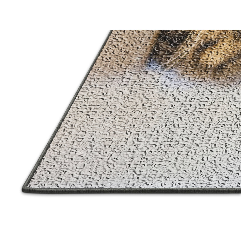 Indoor Rug, Rectangle 4' x 6'