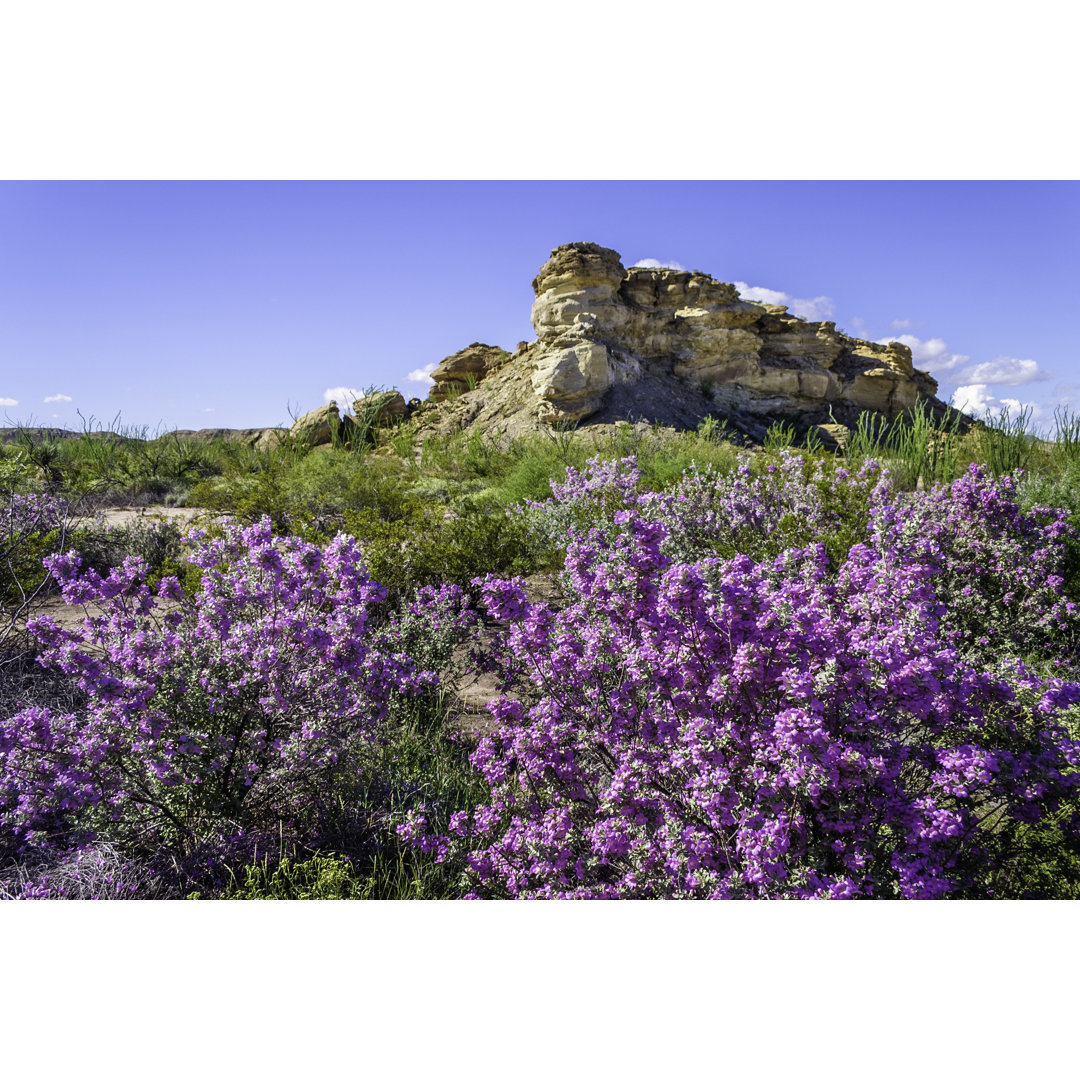 Big Bend National Park by Dszc - Drucken