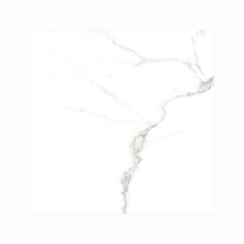 IL Lusso Calacatta 24 x 48 poli, Blanc poli
