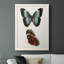" Antique Blue Butterflies IV "-88378672-88378673