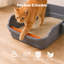 Litter Box-866459201