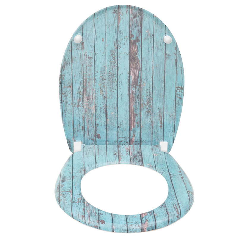 Dejoie Soft Close Elongated Standard Toilet Seat