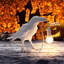 Lampe de bureau Raven-1461513798