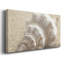 Calming Shell I - Toile tendue avec châssis - Prêt à accrocher-218511127