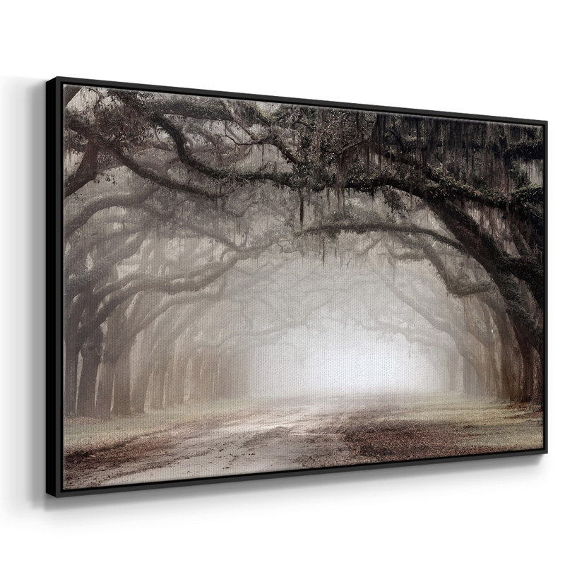 Timeless Plantation Drive, reproduction d'art sur toile, Noir, H 17 po x l 25 po x P 2 po