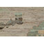 Tapis teint en laine Oushak Earth