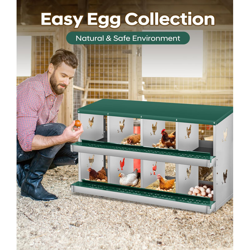Boîte de nidification pour poules pondeuses, boîte de nidification en métal à 8 compartiments, boîtes de nidification murales pour poulets, collection facile d'œufs, boîtes de ponte pour poules pour protéger les œufs, vert