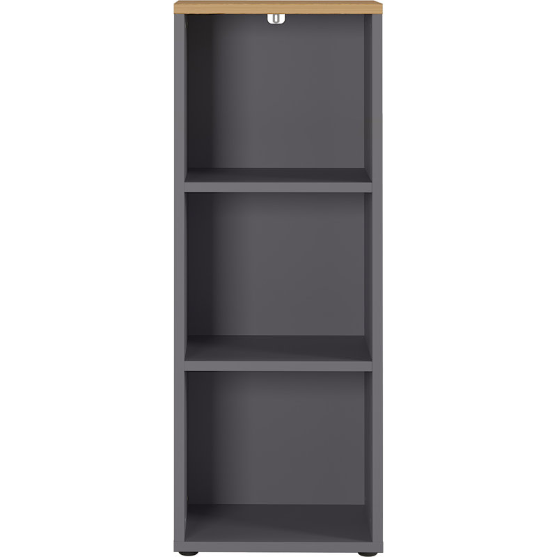 Miabella 120 cm H x 45 cm W Standard Bookcase, Graphite/Oak