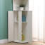 Freestanding Bathroom Cabinet