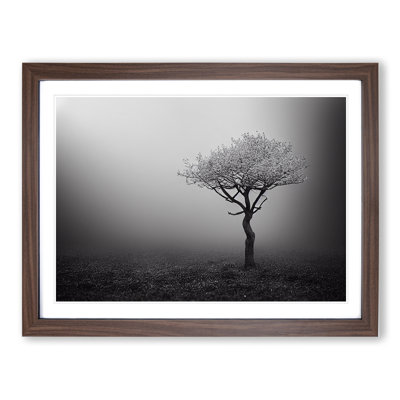 Lonely Tree - Single Picture Frame Print
