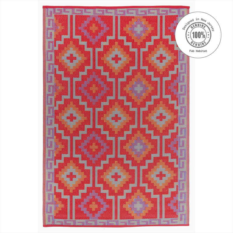 Outdoor Rug Plastic Straw Rug Waterproof Patio Olivama , Rectangle 8' x 10', Lhasa - Orange & Violet