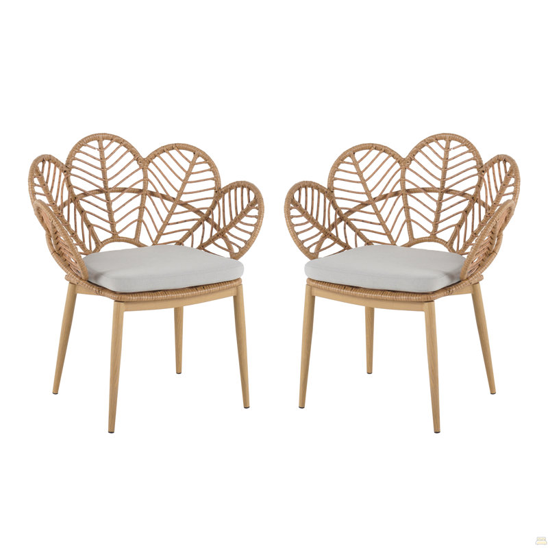 Chaise d'extérieur en osier, ensemble de 2