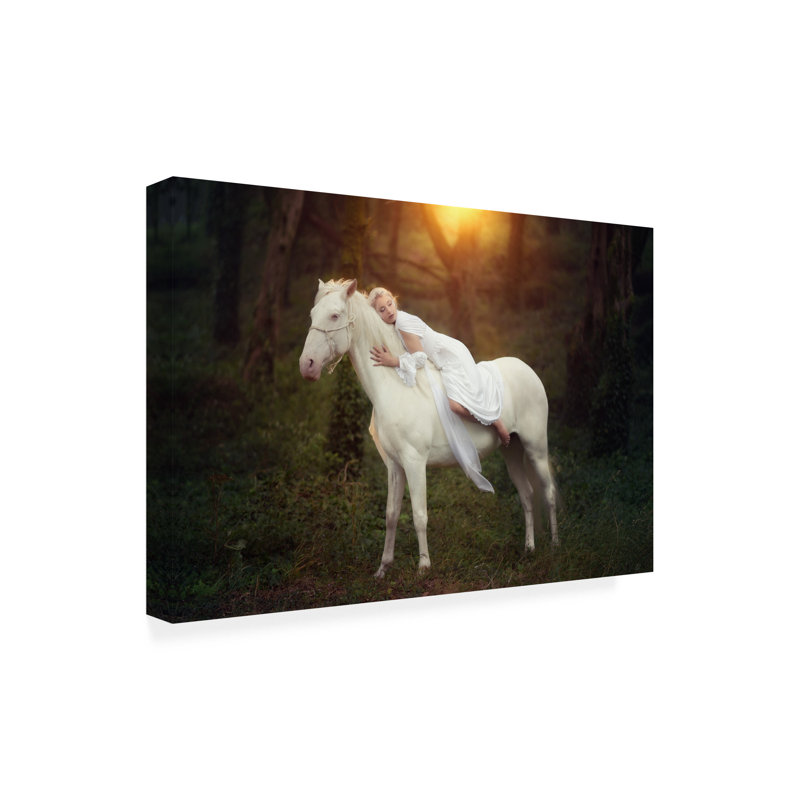 Paulo Dias  Emotional Canvas Art, 30" H x 47" W