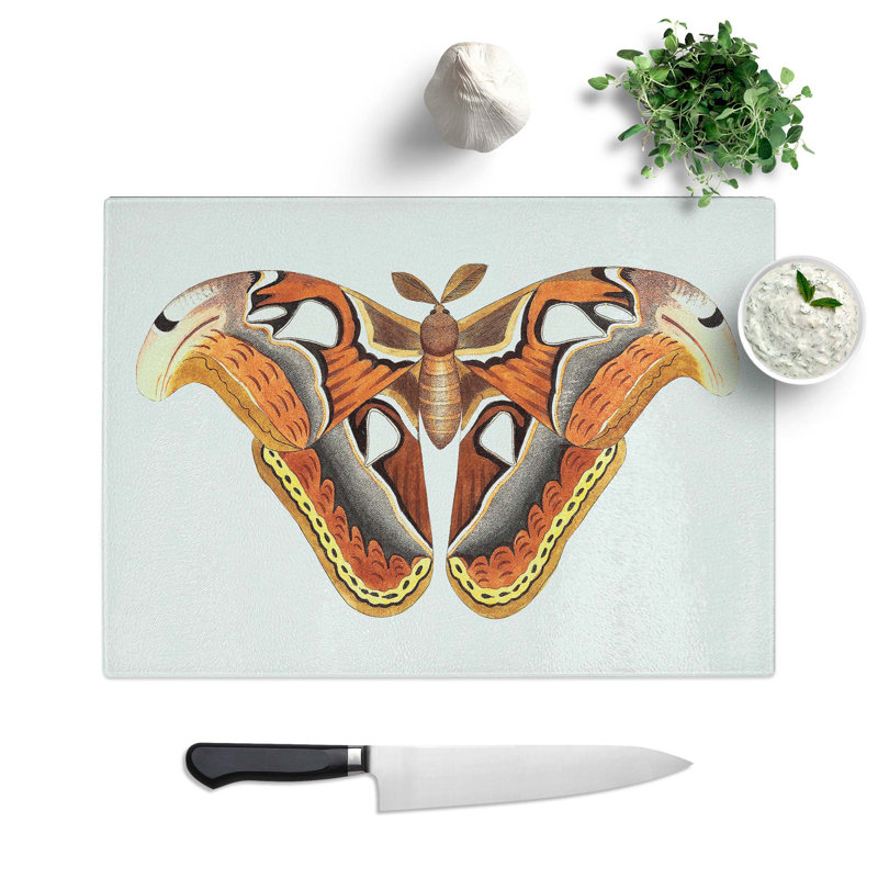 Tempered Glass Atlas Moth Chopping Board, 28.5 cm W x 20 cm L