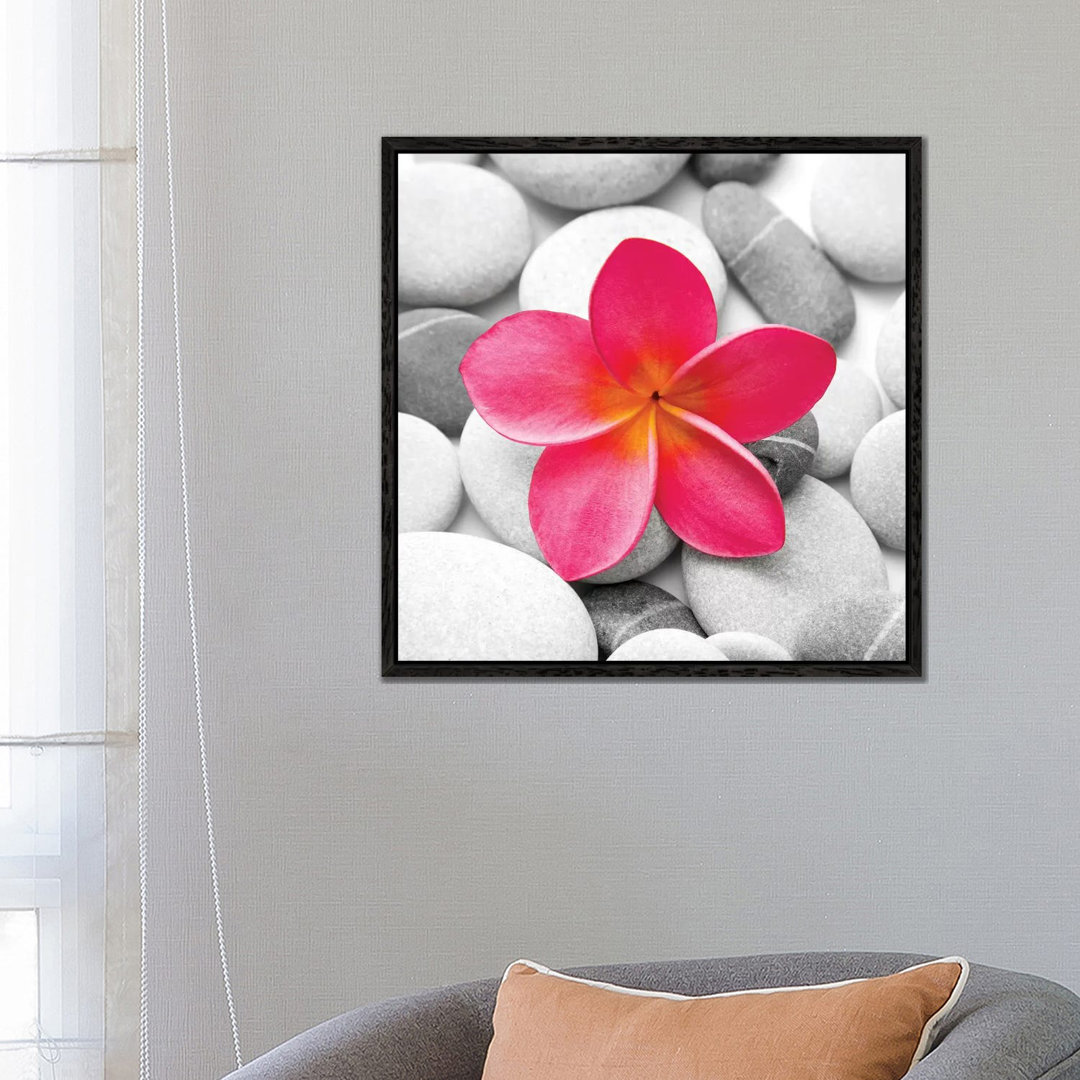 Fotodruck Zen Flower von PhotoINC Studio