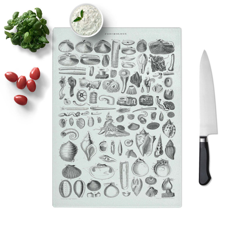 Tempered Glass Study of Mollusc Shells by Oliver Goldsmith Chopping Board, 28.5 cm W x 39 cm L