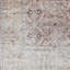 Isabella Oriental Rust/Cream Area Rug-542080270